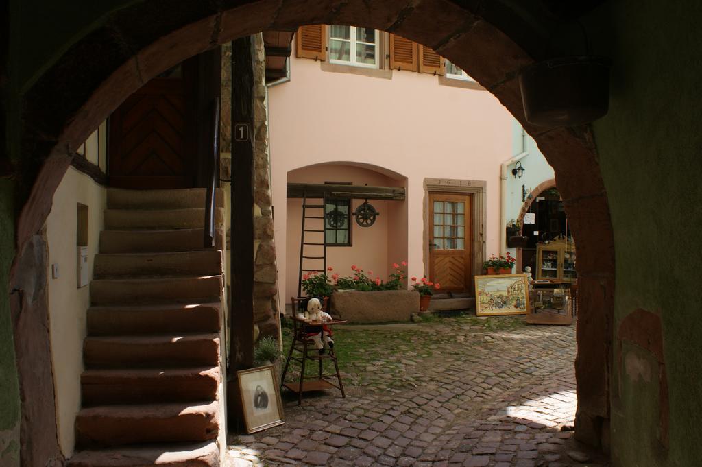 Appartement Location 